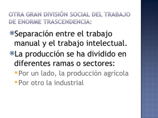 Separación  entre el trabajo
 manual y el trabajo intelectual.
La producción se ha dividido en
 diferentes ramas o sectores:
  Por un lado, la producción agrícola
  Por otro la industrial
 