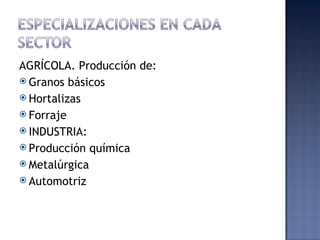 AGRÍCOLA. Producción de:
 Granos básicos
 Hortalizas
 Forraje
 INDUSTRIA:
 Producción química
 Metalúrgica
 Automotriz
 