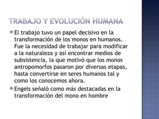  El trabajo tuvo un papel decisivo en la
  transformación de los monos en humanos.
  Fue la necesidad de trabajar para modificar
  a la naturaleza y así encontrar medios de
  subsistencia, la que motivó que los monos
  antropomorfos pasaron por diversas etapas,
  hasta convertirse en seres humanos tal y
  como los conocemos ahora.
 Engels señaló como más destacadas en la
  transformación del mono en hombre
 