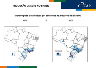 PRODUÇÃO DE LEITE NO BRASIL


 Microrregiões classificadas por densidade de produção de leite em:

         1975                  E                      2007
 
