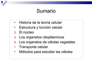 Sumario Historia de la teoría celular Estructura y función celular El núcleo  Los organelos citoplásmicos  Los organelos de células vegetales Transporte celular Métodos para estudiar las células 