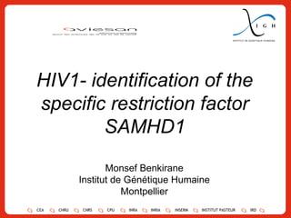 HIV1- identification of the specific restriction factor SAMHD1 Monsef Benkirane Institut de Génétique Humaine Montpellier CEA CHRU CNRS CPU INRA INRIA INSERM INSTITUT PASTEUR IRD 