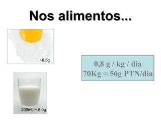 Nos alimentos...Nos alimentos...
0,8 g / kg / dia
70Kg = 56g PTN/dia
~6,5g
200mL ~ 6,0g
 