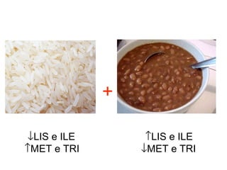 +
↓LIS e ILE ↑LIS e ILE
↑MET e TRI ↓MET e TRI
 