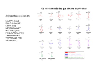 Aminoácidos essenciais (9):
LEUCINA (LEU)
ISOLEUCINA (ILE)
LISINA (LIS)
METIONINA (MET)
HISTIDINA (HIS)
FENILALANINA (FEN)
TREONINA (TRE)
TRIPTOFANO (TRI)
VALINA (VAL)
 