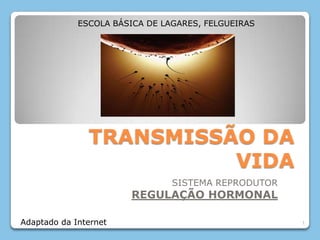 TRANSMISSÃO DA VIDA SISTEMA REPRODUTOR REGULAÇÃO HORMONAL 1 ESCOLA BÁSICA DE LAGARES, FELGUEIRAS Adaptado da Internet 