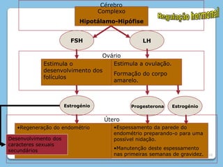10CérebroComplexoHipotálamo-HipófiseRegulação hormonalFSHLHOvárioEstimula a ovulação.Formação do corpo amarelo.Estimula o desenvolvimento dos folículosEstrogénioEstrogénioProgesteronaÚteroEspessamento da parede do endométrio preparando-o para uma possível nidação.