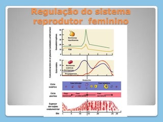 Manutenção deste espessamento nas primeiras semanas de gravidez.
