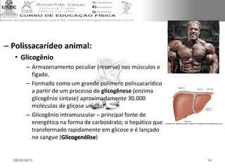 – Polissacarídeo animal:
• Glicogênio
– Armazenamento peculiar (reserva) nos músculos e
fígado.
– Formado como um grande polímero polissacarídico
a partir de um processo de glicogênese (enzima
glicogênio sintase) aproximadamente 30.000
moléculas de glicose unidas.
– Glicogênio intramuscular – principal fonte de
energética na forma de carboidrato; o hepático que
transformado rapidamente em glicose e é lançado
no sangue (Glicogenólise)
08/08/2013 14
 