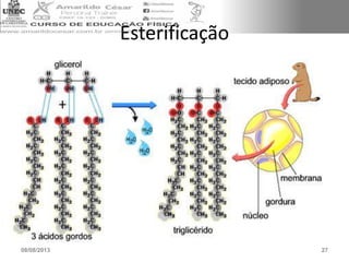 Esterificação
08/08/2013 27
 