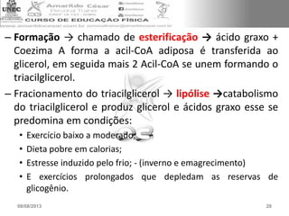 – Formação → chamado de esterificação → ácido graxo +
Coezima A forma a acil-CoA adiposa é transferida ao
glicerol, em seguida mais 2 Acil-CoA se unem formando o
triacilglicerol.
– Fracionamento do triacilglicerol → lipólise →catabolismo
do triacilglicerol e produz glicerol e ácidos graxo esse se
predomina em condições:
• Exercício baixo a moderado;
• Dieta pobre em calorias;
• Estresse induzido pelo frio; - (inverno e emagrecimento)
• E exercícios prolongados que depledam as reservas de
glicogênio.
08/08/2013 28
 