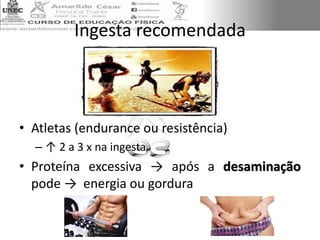 Ingesta recomendada
• Atletas (endurance ou resistência)
– ↑ 2 a 3 x na ingesta
• Proteína excessiva → após a desaminação
pode → energia ou gordura
 
