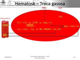 CO2
𝐶𝑂2 + 𝐻𝑏𝑂2 − 𝑁𝐻2
O2
 Hb − NHCOO− + O2 + H+
𝐶𝑂2 + 𝐻2 𝑂  H2CO3  HCO3 + H+
ANIDRASE
CARBÔNICA
HCO3
HbO2 → HHB + 02
H2O
H2O
Hematose – Troca gasosa
08/08/2013
Fisiologia Respiratória - Profº
Amarildo César
46
 