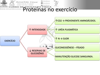 Proteínas no exercício
EXERCÍCIO
↑ INTENSIDADE
↑CO2 → PROVENIENTE AMINOÁCIDOS.
↑ URÉIA PLASMÁTICA
↑ N → SUOR
↓ RESERVAS DE
GLICOGÊNIO
GLICONEOGÊNESE – FÍGADO
MANUTENÇÃO GLICOSE SANGUINEA.
 
