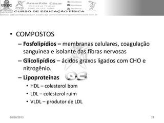 • COMPOSTOS
– Fosfolipídios – membranas celulares, coagulação
sanguinea e isolante das fibras nervosas
– Glicolipídios – ácidos graxos ligados com CHO e
nitrogênio.
– Lipoproteínas
• HDL – colesterol bom
• LDL – colesterol ruim
• VLDL – produtor de LDL
08/08/2013 31
 