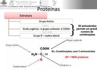 Proteínas
Estrutura
Grupo Amina
Ácido orgânico → grupo carboxila → COOH
Grupo R – cadeia lateral
}
20 aminoácidos
permite um grande
numero de
combinações
Ex: Combinações com 3 aminoácidos
203 = 8000 proteínas
 