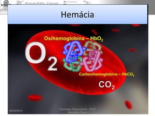Hemácia
Oxihemoglobina – HbO2
Carboxihemoglobina – HbCO2
08/08/2013
Fisiologia Respiratória - Profº
Amarildo César
45
 