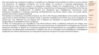 Στην τρίτη φάση της αντιδικίας αυτοχθόνων- ετεροχθόνων το ενδιαφέρον επικεντρώθηκε στο θέμα των όρων εκλογής
των βουλευτών. Το πρόβλημα εστιαζόταν στο αν θα έπρεπε να συνεχιστεί η ιδιαίτερη εκπροσώπηση των
εγκατεστημένων στην Ελλάδα ομογενών ως ξεχωριστών ομάδων (άποψη των ετεροχθονιστών), ή θα έπρεπε να
ενσωματωθούν αυτοί εκλογικά στις επαρχίες που ζούσαν, τερματίζοντας ένα διαχωρισμό του παρελθόντος που δεν είχε
νόημα (άποψη των αυτοχθονιστών). Η ρύθμιση που επικράτησε ήταν συμβιβαστική, επιτρέποντας στους
πρόσφυγες/ετερόχθονες το δικαίωμα ιδιαίτερης αντιπροσώπευσης στη Βουλή, εφόσον είχαν στο μεταξύ ιδρύσει
χωριστό συνοικισμό με επαρκή πληθυσμό.
Την περίοδο των συζητήσεων στην Εθνοσυνέλευση, και από τις δύο πλευρές εκδηλώθηκαν έντονες λαϊκές αντιδράσεις,
μερικές από τις οποίες κατέληξαν σε έκτροπα. Τελικά, οι ομογενείς ετερόχθονες στο σύνολο τους, μετά την ψήφιση των
μέτρων που τους απέκλειαν για μια περίοδο από το δημόσιο και περιόριζαν τη χωριστή αντιπροσώπευσή τους,
υποχρεώθηκαν να αποδεχθούν αυτές τις ρυθμίσεις.
Το θέμα των δικαιωμάτων των ετεροχθόνων στην Εθνοσυνέλευση έδειξε τη βαθύτερη διάσταση που υπήρχε στην
κοινωνία της εποχής. Το πρόβλημα απασχόλησε έντονα την κοινή γνώμη, ενώ προσέλκυσε το ενδιαφέρον και του ξένου
παράγοντα. Ιδιαίτερα το ζήτημα για τη χωριστή κοινοβουλευτική αντιπροσώπευση των ετεροχθόνων προκάλεσε τις
διαμαρτυρίες της Οθωμανικής αυτοκρατορίας. Το βέβαιο είναι ότι με τη διαμάχη αυτή αναδείχθηκαν τα προβλήματα
συμβίωσης του ντόπιου ελληνικού και του νεοφερμένου ομογενούς στοιχείου στο μικρό νεοσύστατο κράτος.
Γ΄ ΦΑΣΗ
Αντιδικία για τους
όρους εκλογής
βουλευτών
Συμβιβαστική
ρύθμιση
ΣΥΝΕΠΕΙΕΣ
Έκτροπα
Αποδοχή
Αποτίμηση
Ξένος παράγοντας
 