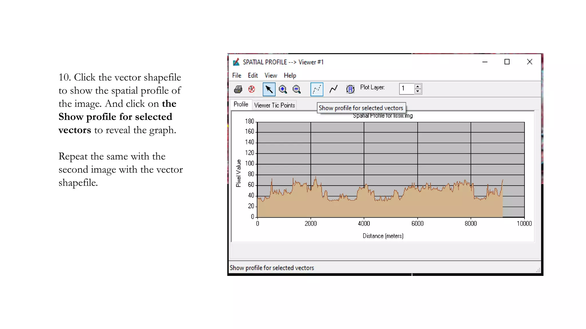 10. Click the vector shapefile
to show the spatial profile of
the image. And click on the
Show profile for selected
vectors to reveal the graph.
Repeat the same with the
second image with the vector
shapefile.
 