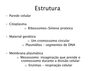 Estrutura
• Parede celular
• Citoplasma
o Ribossomos-Síntese proteica
• Material genético
o Um cromossomo circular
o Plasmídios – segmentos de DNA
• Membrana plasmática
o Mesossomo: invaginação que prende o
cromossomo durante a divisão celular
o Enzimas - respiração celular
 