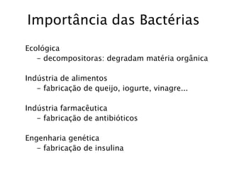 Importância das Bactérias
Ecológica
- decompositoras: degradam matéria orgânica
Indústria de alimentos
- fabricação de queijo, iogurte, vinagre...
Indústria farmacêutica
- fabricação de antibióticos
Engenharia genética
- fabricação de insulina
 