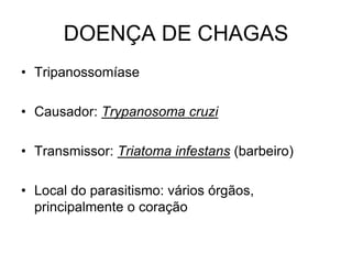 DOENÇA DE CHAGAS
• Tripanossomíase
• Causador: Trypanosoma cruzi
• Transmissor: Triatoma infestans (barbeiro)
• Local do parasitismo: vários órgãos,
principalmente o coração
 