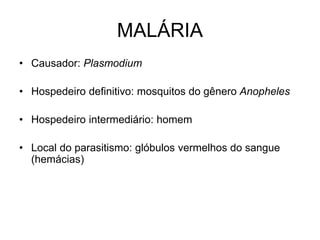 MALÁRIA
• Causador: Plasmodium
• Hospedeiro definitivo: mosquitos do gênero Anopheles
• Hospedeiro intermediário: homem
• Local do parasitismo: glóbulos vermelhos do sangue
(hemácias)
 
