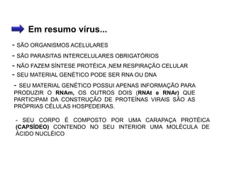 Em resumo vírus...
- SÃO ORGANISMOS ACELULARES
- SÃO PARASITAS INTERCELULARES OBRIGATÓRIOS
- NÃO FAZEM SÍNTESE PROTÉICA ,NEM RESPIRAÇÃO CELULAR
- SEU MATERIAL GENÉTICO PODE SER RNA OU DNA
- SEU MATERIAL GENÉTICO POSSUI APENAS INFORMAÇÃO PARA
PRODUZIR O RNAm, OS OUTROS DOIS (RNAt e RNAr) QUE
PARTICIPAM DA CONSTRUÇÃO DE PROTEÍNAS VIRAIS SÃO AS
PRÓPRIAS CÉLULAS HOSPEDEIRAS.
- SEU CORPO É COMPOSTO POR UMA CARAPAÇA PROTÉICA
(CAPSÍDEO) CONTENDO NO SEU INTERIOR UMA MOLÉCULA DE
ÁCIDO NUCLÉICO
 