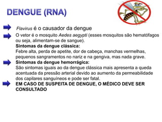 Flavirus é o causador da dengue
O vetor é o mosquito Aedes aegypti (esses mosquitos são hematófagos
ou seja, alimentam-se de sangue).
Sintomas da dengue clássica:
Febre alta, perda de apetite, dor de cabeça, manchas vermelhas,
pequenos sangramentos no nariz e na gengiva, mas nada grave.
Sintomas da dengue hemorrágica:
São sintomas iguais ao da dengue clássica mais apresenta a queda
acentuada da pressão arterial devido ao aumento da permeabilidade
dos capilares sanguíneos e pode ser fatal.
EM CASO DE SUSPEITA DE DENGUE, O MÉDICO DEVE SER
CONSULTADO
 
