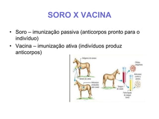 SORO X VACINA
• Soro – imunização passiva (anticorpos pronto para o
indivíduo)
• Vacina – imunização ativa (indivíduos produz
anticorpos)
 