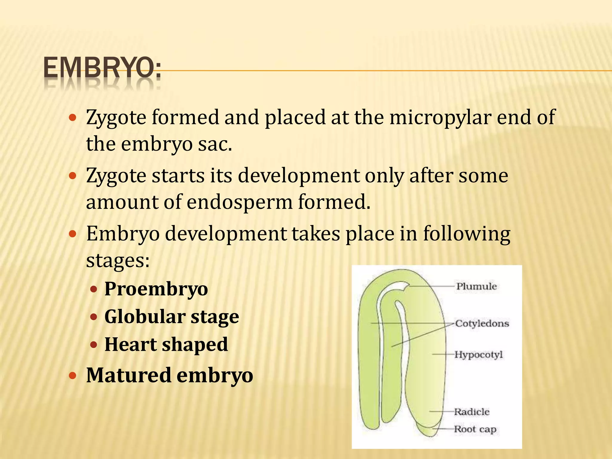 Sexual Reproduction In Flowering Plants | PPTX