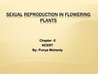 Sexual Reproduction In Flowering Plants | PPT