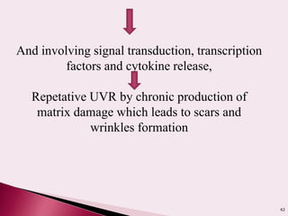 42
And involving signal transduction, transcription
factors and cytokine release,
Repetative UVR by chronic production of
matrix damage which leads to scars and
wrinkles formation
 