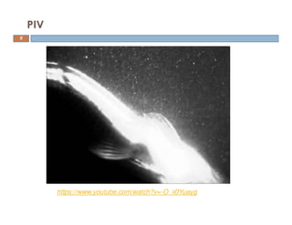 PIV
https://www.youtube.com/watch?v=-O_ii0Yuayg
6
 