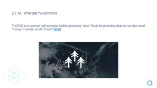 2.7.1A What are the commons
The DAO as a common: self-sovereign entities generating “value”. Could be generating clean air, but also actual
“money”. Example: a DAO Forest “Terra0”
 
