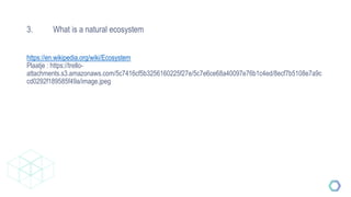 3. What is a natural ecosystem
https://en.wikipedia.org/wiki/Ecosystem
Plaatje : https://trello-
attachments.s3.amazonaws.com/5c7416cf5b3256160225f27e/5c7e6ce68a40097e76b1c4ed/8ecf7b5108e7a9c
cd0292f189585f49a/image.jpeg
 