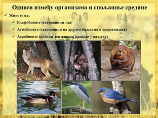 Односи између организама и спољашње средине
 Животиње:
 Едафобионте (становници тла)
 Атмобионте (становници на другим биљкама и животињама)
 Аеробионте (велики део живота проводе у ваздуху)
 