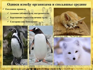 Односи између организама и спољашње средине
 Еколошка правила
 Аленово (облика тела, екстремитети)
 Бергманово (маса и величина тела)
 Глогерово (пигментација)
 