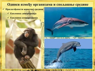 Односи између организама и спољашње средине
 Прилагођености животној средини
 Еколошка дивергенција
 Еколошка конвергенција
 