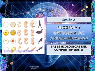 Sesión 2
http://image.slidesharecdn.com/pruebasevolucin-110216044651-
phpapp02/95/pruebas-evolucin-5-728.jpg?cb=1297831699
BASES BIOLÓGICAS DEL
COMPORTAMIENTO
FANNY JEM
WONG
1
 