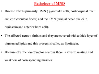 Pathology of MND
• Disease affects primarily UMN ( pyramidal cells, corticospinal tract
and corticobulbar fibers) and the LMN (cranial nerve nuclei in
brainstem and anterior horn cell).
• The affected neuron shrinks and they are covered with a thick layer of
pigmented lipids and this process is called as lipofuscin.
• Because of affection of motor neurons there is severre wasting and
weakness of corresponding muscles.
 