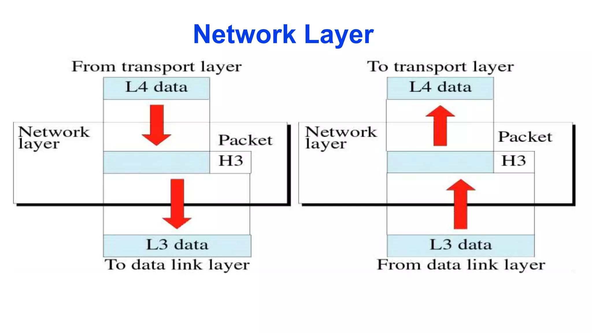 Network Layer
 