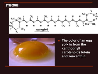 Xanthophyll Example Pigment by KK Sahu sir | PPT