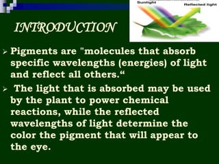 Pigment by KK Sahu sir | PPT