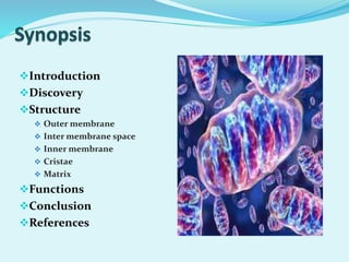 Introduction
Discovery
Structure
 Outer membrane
 Inter membrane space
 Inner membrane
 Cristae
 Matrix
Functions
Conclusion
References
 