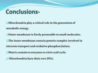 Mitochondria play a critical role in the generation of
metabolic energy.
Outer membrane is freely permeable to small molecules.
The inner membrane contain protein complex involved in
electron transport and oxidative phosphorylation.
Matrix contain to enzymes to citric acid cycle.
 Mitochondria have their own DNA.
 