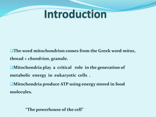 The word mitochondrion comes from the Greek word mitos,
thread + chondrion, granule.
Mitochondria play a critical role in the generation of
metabolic energy in eukaryotic cells .
Mitochondria produce ATP using energy stored in food
molecules.
“The powerhouse of the cell”
 