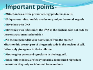 Mitochondria are the primary energy producers in cells.
Uniqueness- mitochondria are the very unique is several regards
Have their own DNA
Have their own Ribosome’( the DNA in the nucleus does not code for
the construction mitochondria )
All the mitochondria your body comes from the mother.
Mitochondria are not part of the genetic code in the nucleus of cell.
Father only gives genes to their children.
Mother gives genes and cytoplasm in their egg cell.
Since mitochondria are the cytoplasm a reproduced reproduce
themselves they only are inherited from mothers.
 