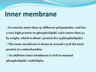 It contains more than 151 different polypeptides, and has
a very high protein-to-phospholipids’ ratio (more than 3:1
by weight, which is about 1 protein for 15 phospholipids).
The inner membrane is home to around 1/5 of the total
protein in a mitochondria.
 In addition inner membrane is rich in unusual
phospholipids’, cardiolipin.
 