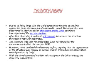 • Due to its fairly large size, the Golgi apparatus was one of the first
organelles to be discovered and observed in detail. The apparatus was
discovered in 1897 by Italian physician Camillo Golgi during an
investigation of the nervous system
• After first observing it under his microscope, he termed the structure
the internal reticular apparatus.
• The structure was then renamed after Golgi not long after the
announcement of his discovery in 1898.
• However, some doubted the discovery at first, arguing that the appearance
of the structure was merely an optical illusion created by the observation
technique used by Golgi.
• With the development of modern microscopes in the 20th century, the
discovery was confirm.
 